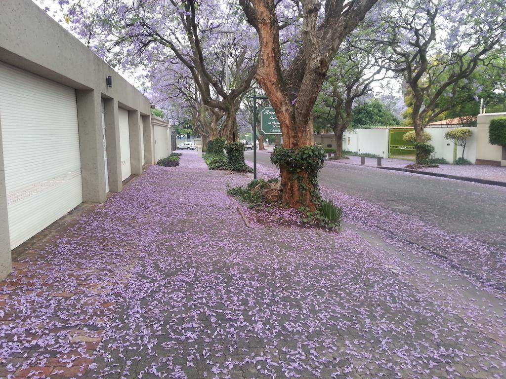 Rosebank Lodge Guesthouse By Claires Johannesburg Exterior photo