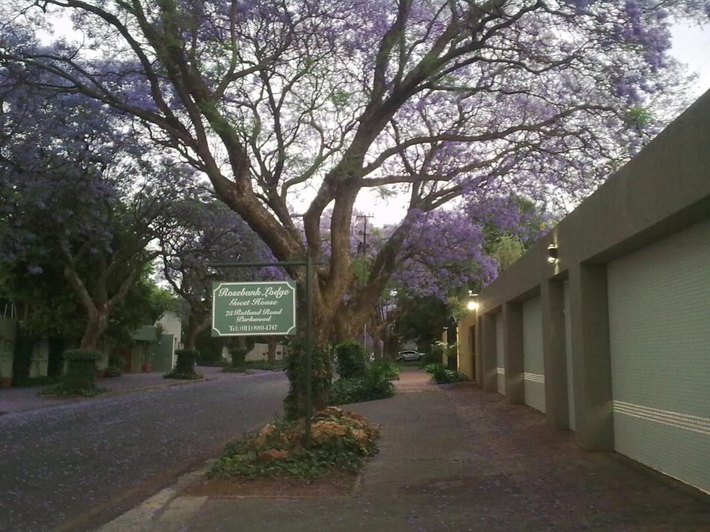 Rosebank Lodge Guesthouse By Claires Johannesburg Room photo