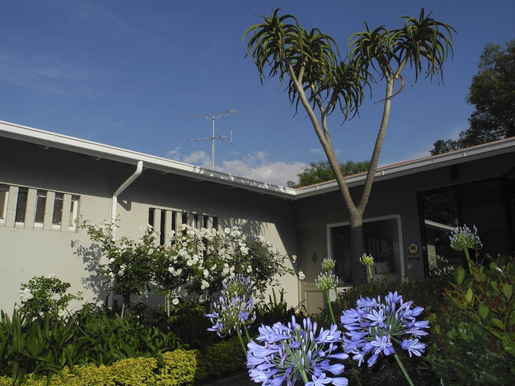 Rosebank Lodge Guesthouse By Claires Johannesburg Exterior photo