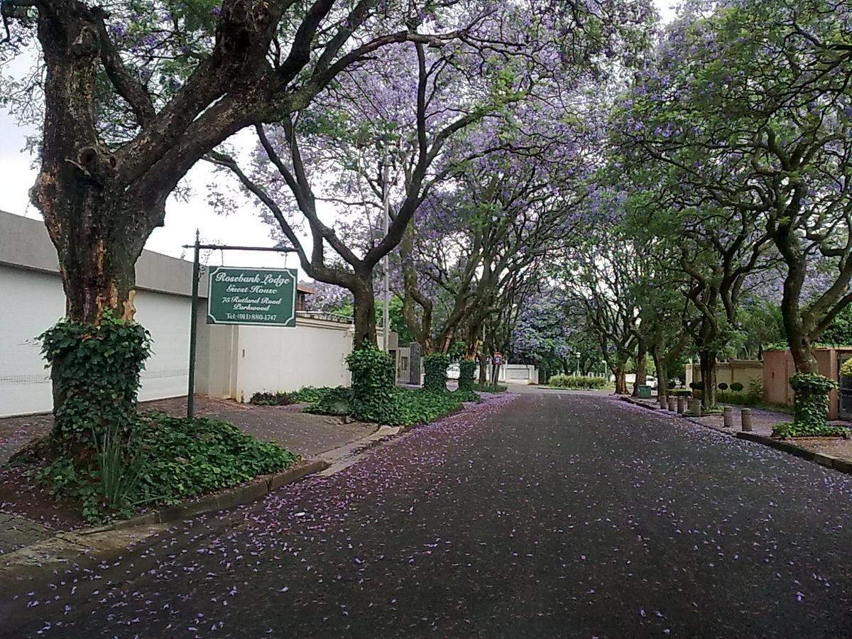 Rosebank Lodge Guesthouse By Claires Johannesburg Exterior photo